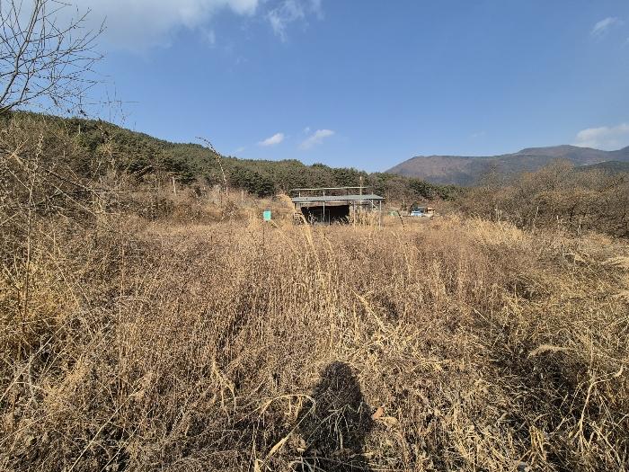 경상북도 칠곡군 가산면 가산리 792 답 경매 사진 8