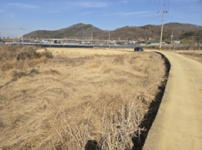경상북도 영천시 금호읍 황정리 289-2 답 경매 사진 1