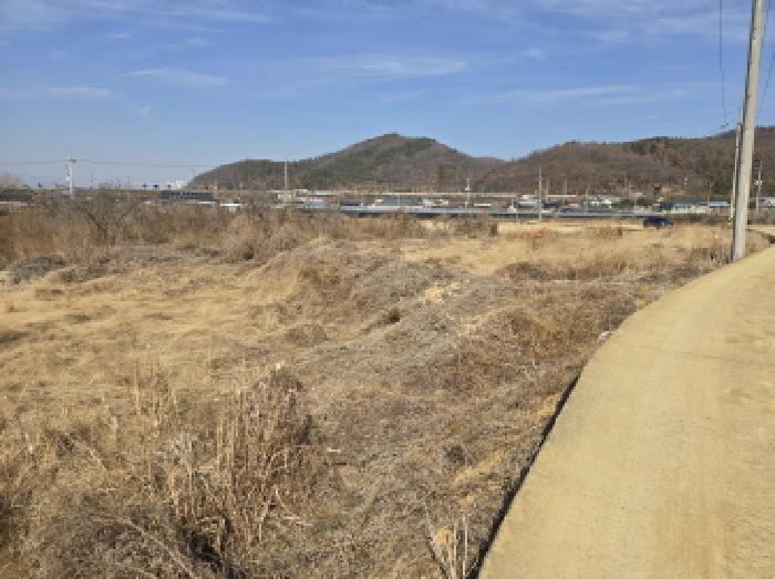 경상북도 영천시 금호읍 황정리 289-2 답 경매 사진 2