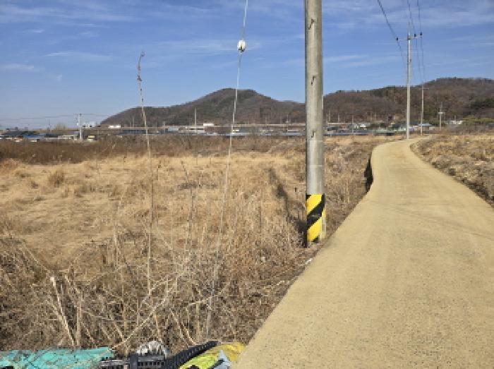 경상북도 영천시 금호읍 황정리 289-2 답 경매 사진 3