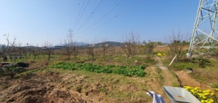 경상남도 김해시 진영읍 좌곤리 262-13 답 경매 사진 16