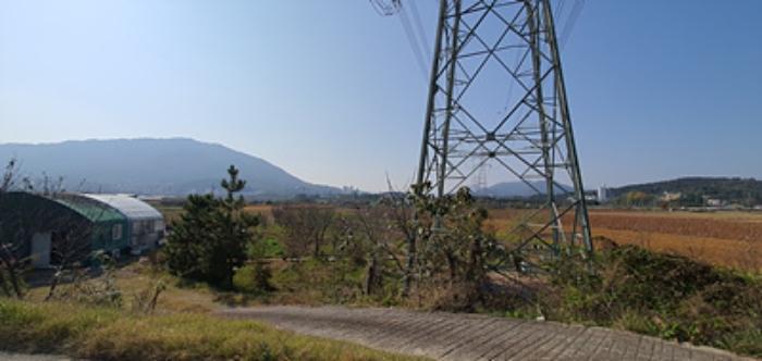 경상남도 김해시 진영읍 좌곤리 262-13 답 경매 사진 9