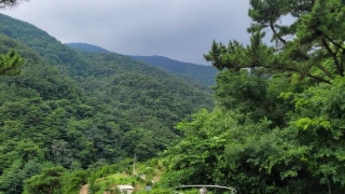 경상남도 의령군 가례면 운암리 산66 임야 경매 사진 23