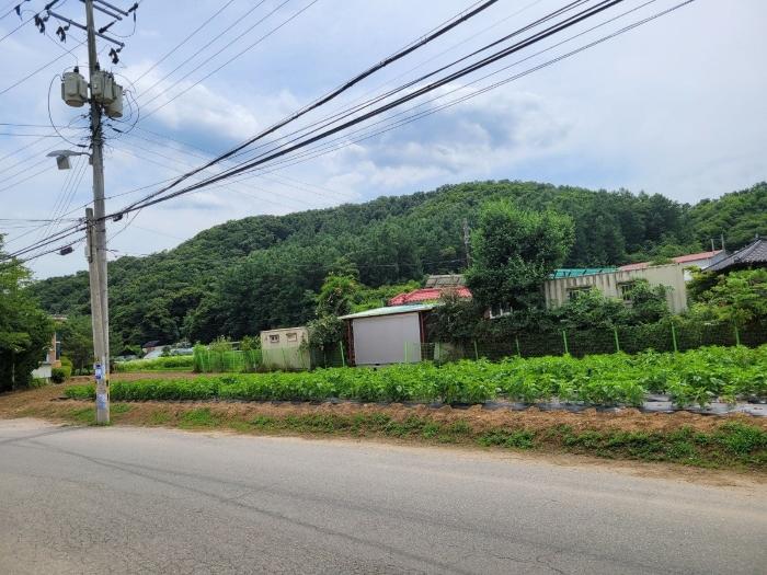 경기도 광주시 곤지암읍 장심리 산73 임야 경매 사진 3
