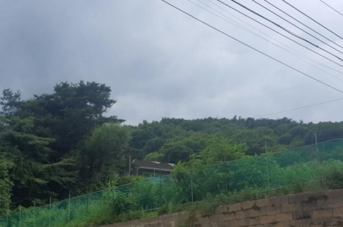 경기도 광주시 곤지암읍 장심리 산73 임야 경매 사진 6
