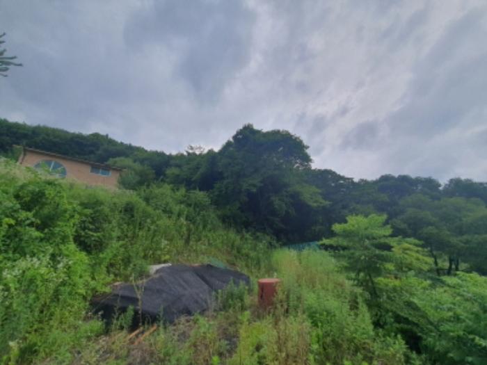 경기도 광주시 곤지암읍 장심리 산73 임야 경매 사진 9