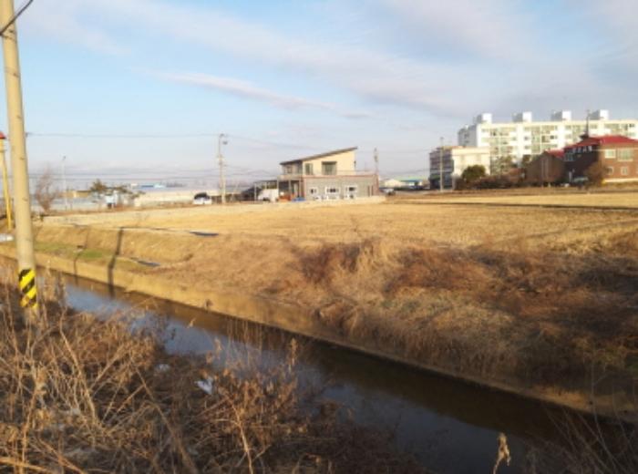 경기도 평택시 팽성읍 평궁리 386-1 답 경매 사진 5