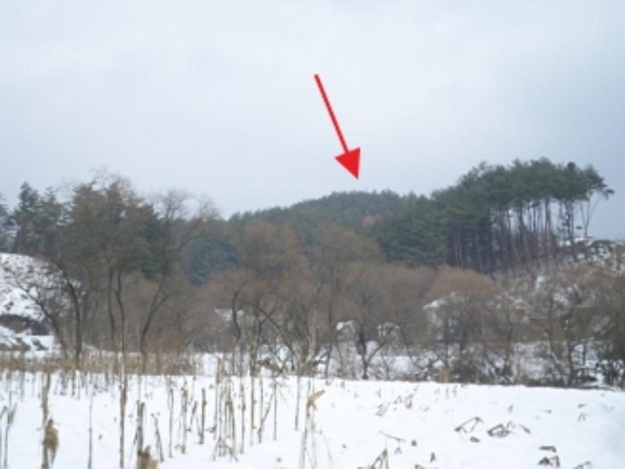 강원특별자치도 횡성군 둔내면 두원리 산32-5 임야 경매 사진 1
