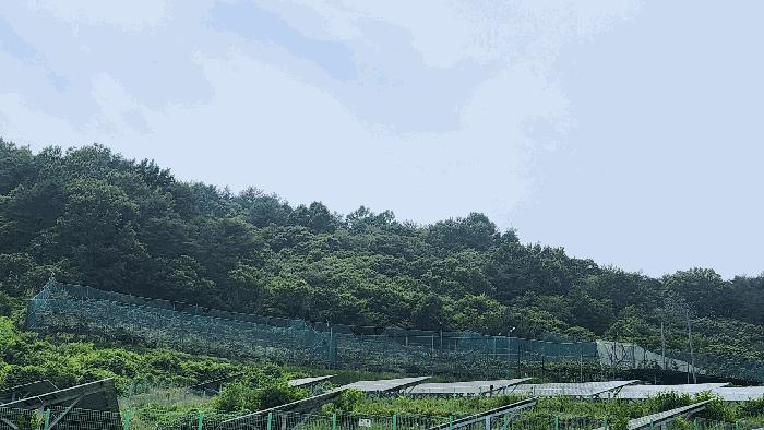 경상남도 하동군 양보면 통정리 산152-5 임야 경매 사진 1