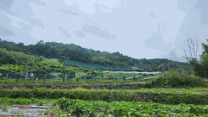 경상남도 하동군 양보면 통정리 산152-5 임야 경매 사진 4