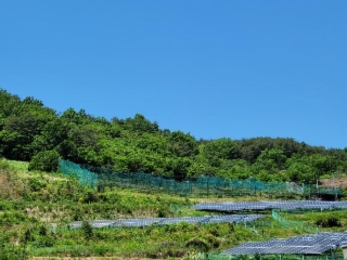 경상남도 하동군 양보면 통정리 산152-5 임야 경매 사진 5