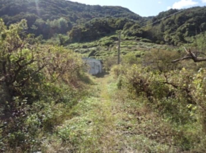 경상남도 밀양시 무안면 덕암리 504 답 경매 사진 13