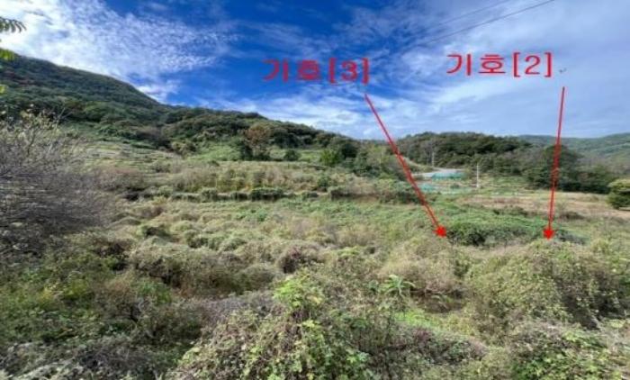 경상남도 밀양시 무안면 덕암리 504 답 경매 사진 2