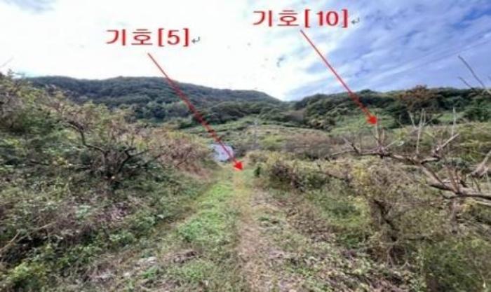 경상남도 밀양시 무안면 덕암리 504 답 경매 사진 4