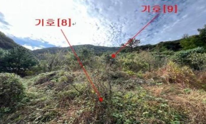 경상남도 밀양시 무안면 덕암리 504 답 경매 사진 7