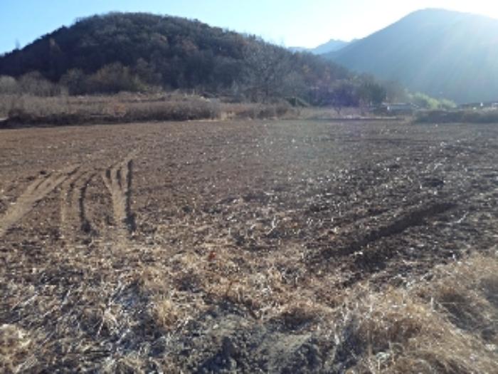경상남도 창녕군 계성면 신당리 468-1 전 경매 사진 4