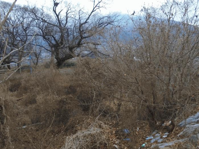 경상남도 밀양시 전