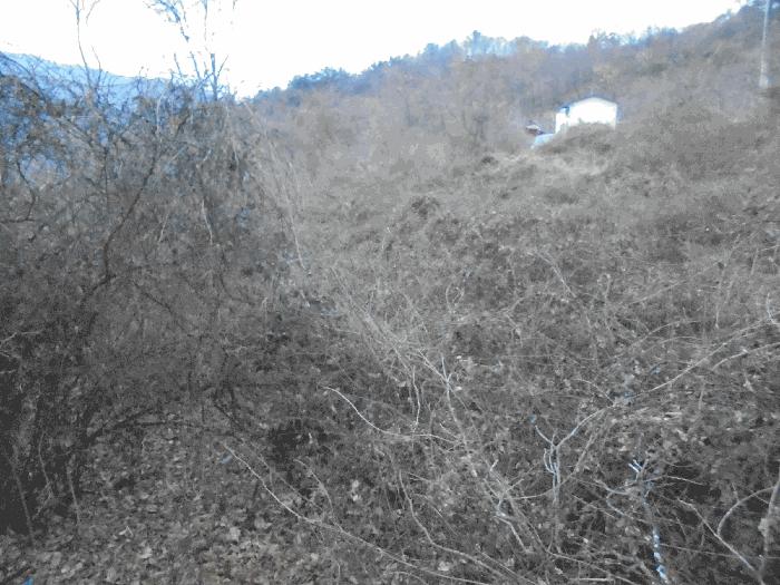 경상남도 밀양시 산내면 삼양리 1804-5 전 경매 사진 2