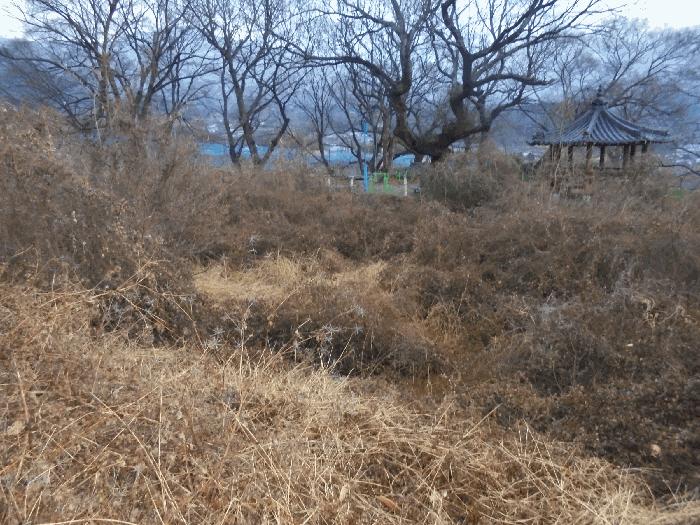 경상남도 밀양시 산내면 삼양리 1804-5 전 경매 사진 3