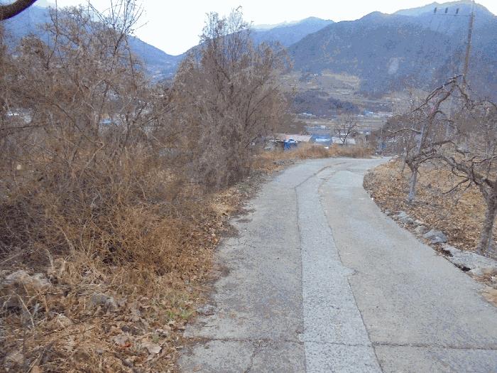 경상남도 밀양시 산내면 삼양리 1804-5 전 경매 사진 4