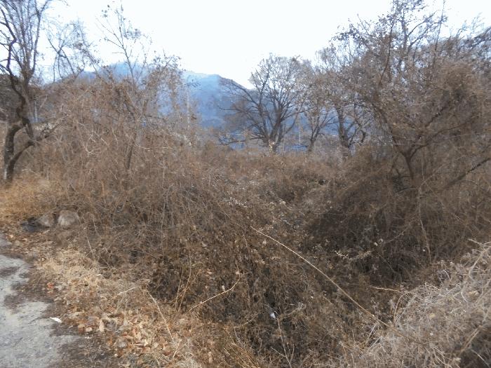 경상남도 밀양시 산내면 삼양리 1804-5 전 경매 사진 5