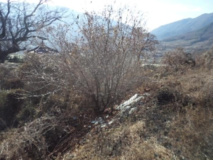 경상남도 밀양시 산내면 삼양리 1804-5 전 경매 사진 7