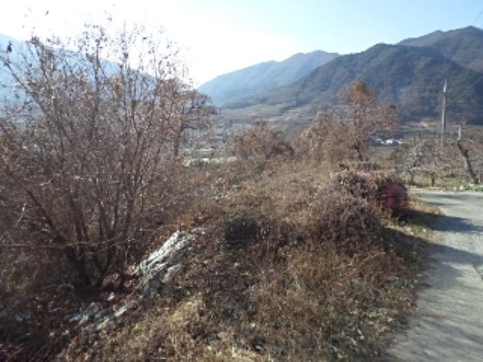 경상남도 밀양시 산내면 삼양리 1804-5 전 경매 사진 8