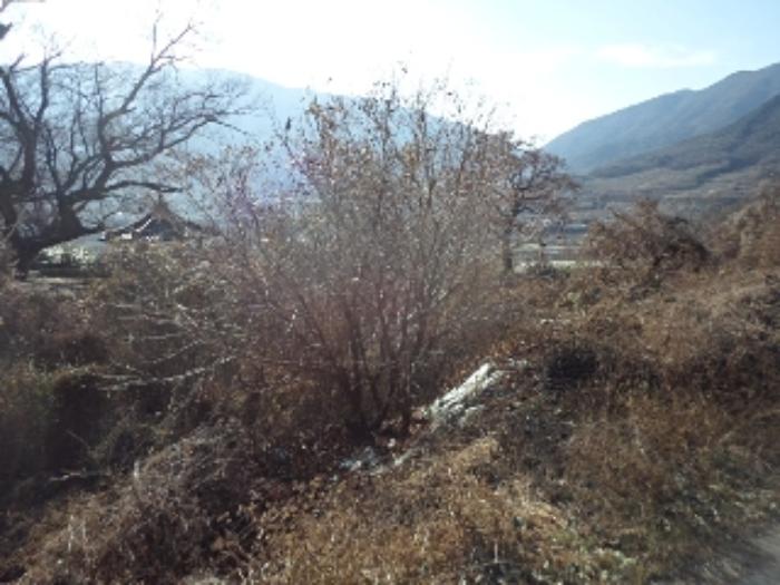 경상남도 밀양시 산내면 삼양리 1804-5 전 경매 사진 9