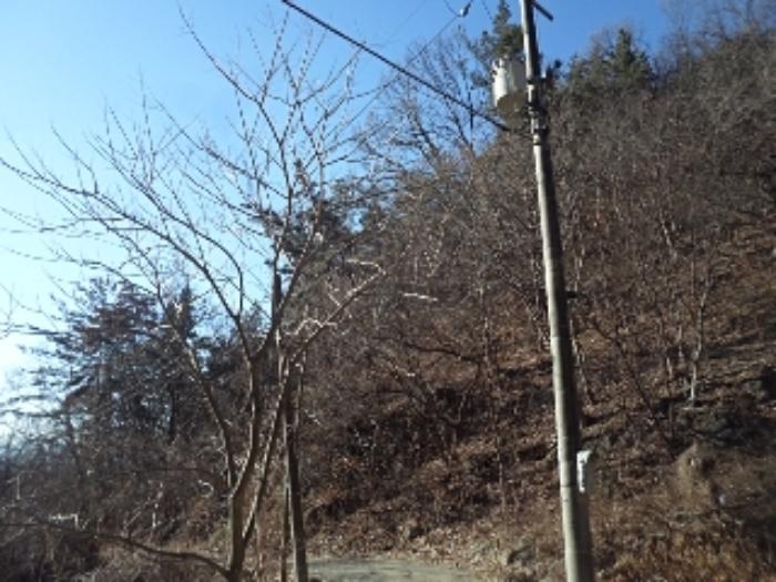 경상남도 밀양시 초동면 오방리 산12 임야 경매 사진 4