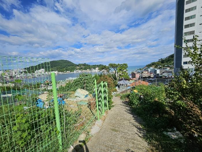 경상남도 거제시 임야