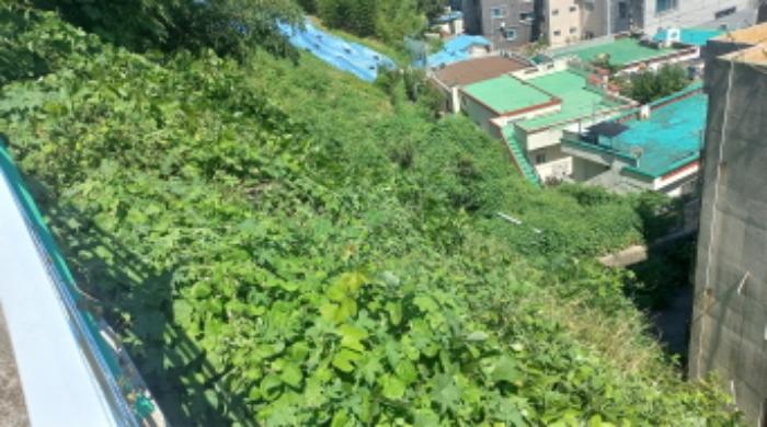 경상남도 거제시 장승포동 579-10 임야 경매 사진 18
