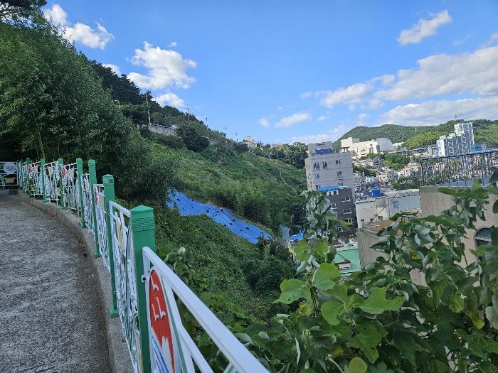 경상남도 거제시 장승포동 579-10 임야 경매 사진 7