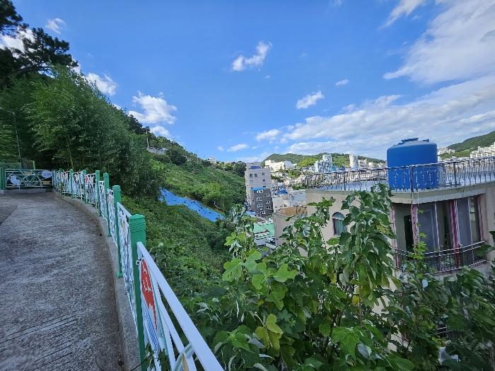 경상남도 거제시 장승포동 579-10 임야 경매 사진 8