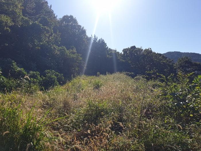 경상남도 거제시 거제면 법동리 199 전 경매 사진 3