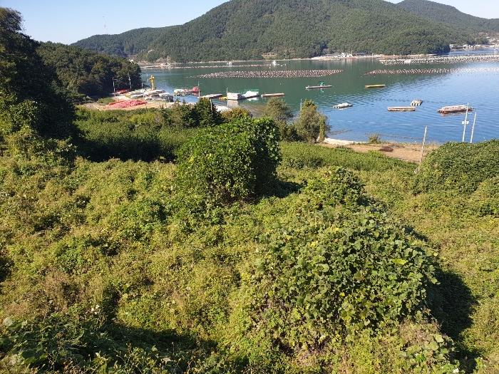 경상남도 거제시 거제면 법동리 199 전 경매 사진 5