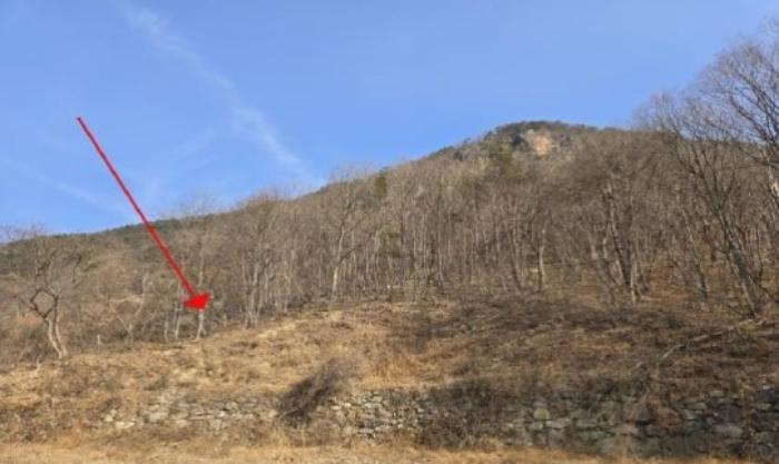 경상남도 밀양시 단장면 범도리 1297 임야 경매 사진 2