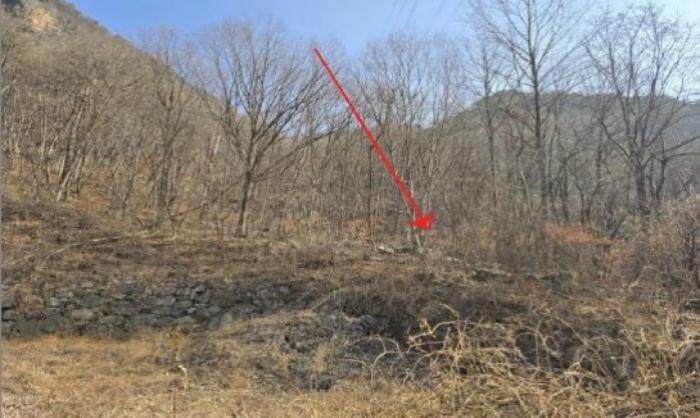 경상남도 밀양시 단장면 범도리 1297 임야 경매 사진 4