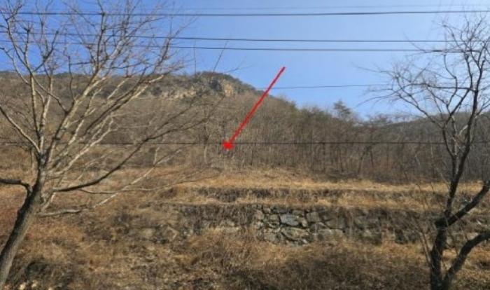 경상남도 밀양시 단장면 범도리 1298 임야 경매 사진 1
