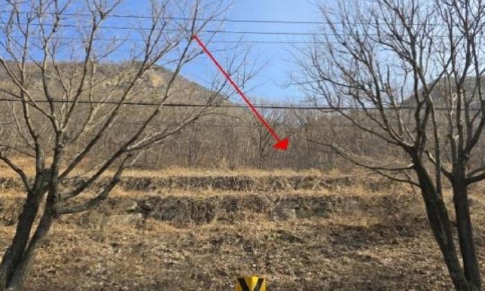 경상남도 밀양시 단장면 범도리 1298 임야 경매 사진 3