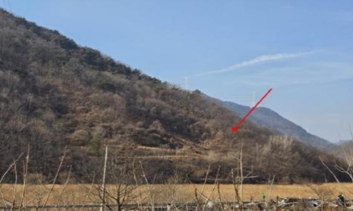 경상남도 밀양시 단장면 범도리 1298 임야 경매 사진 5