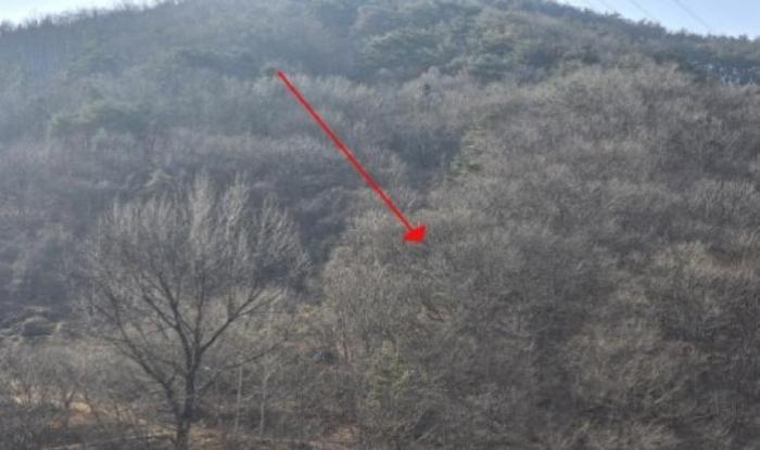 경상남도 밀양시 단장면 범도리 1298 임야 경매 사진 6