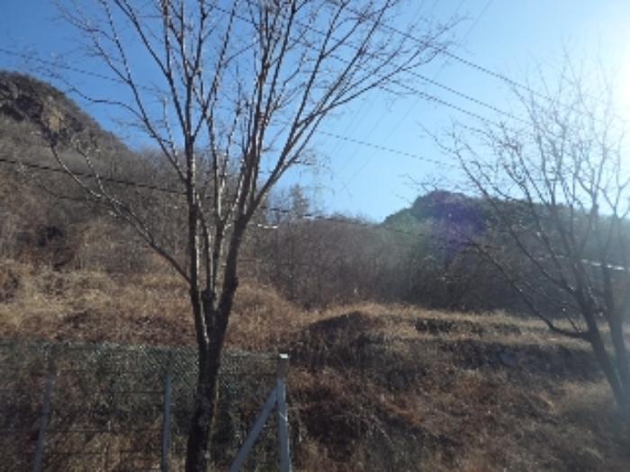 경상남도 밀양시 단장면 범도리 1298 임야 경매 사진 7