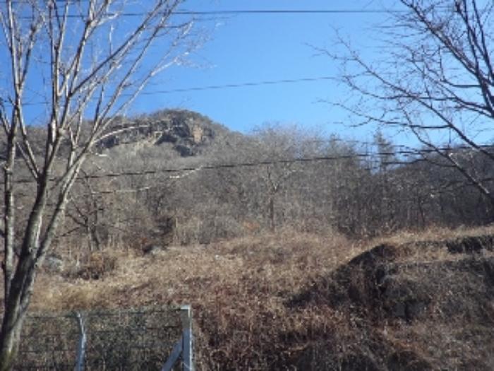 경상남도 밀양시 단장면 범도리 1298 임야 경매 사진 8