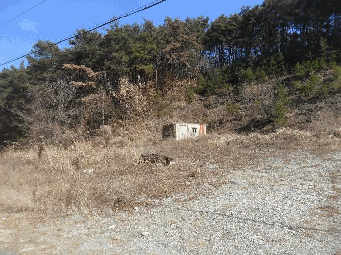 경상남도 창녕군 유어면 대대리 396-3 임야 경매 사진 3