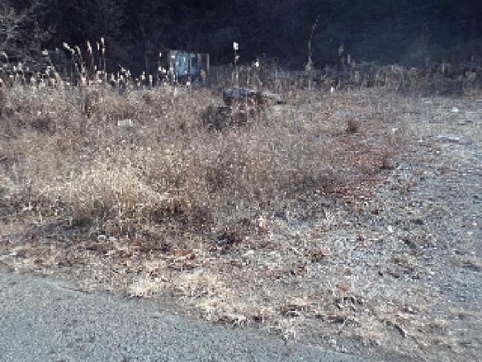 경상남도 창녕군 유어면 대대리 396-3 임야 경매 사진 5