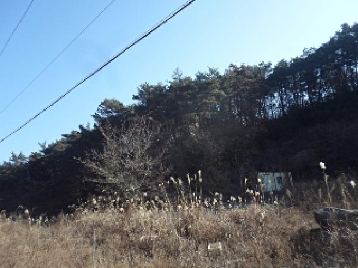 경상남도 창녕군 유어면 대대리 396-3 임야 경매 사진 6