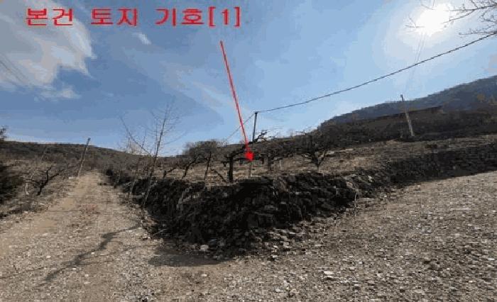 경상남도 밀양시 무안면 연상리 190-2 과수원 경매 사진 1
