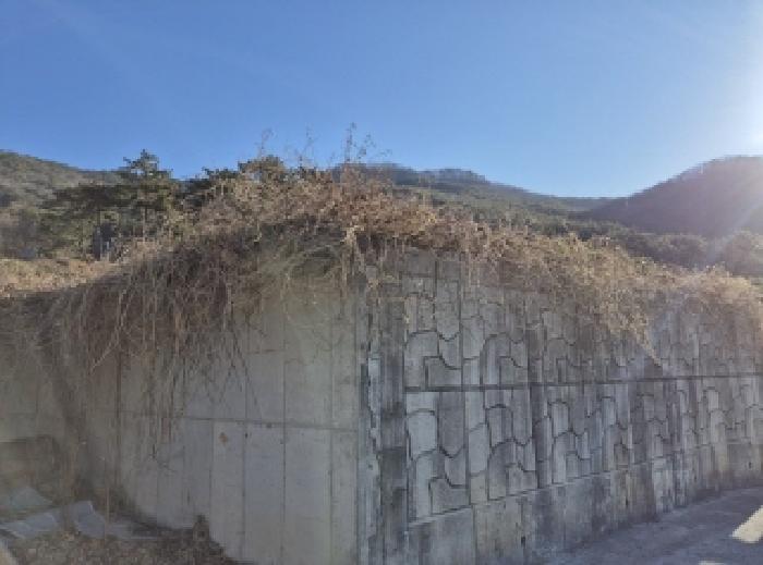 경상남도 고성군 대가면 신전리 204 임야 경매 사진 19
