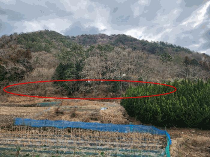 경상남도 거제시 연초면 죽토리 622 임야 경매 사진 1