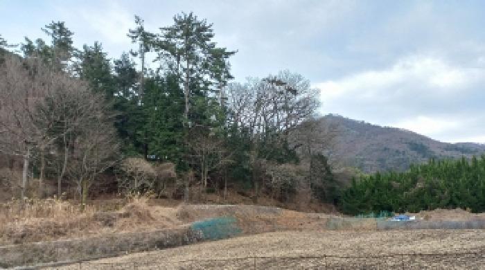 경상남도 거제시 연초면 죽토리 622 임야 경매 사진 10